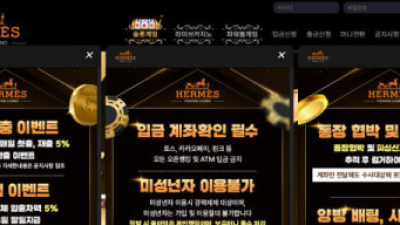 에르메스 3920만원 먹튀